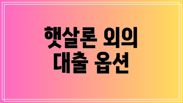 햇살론 외의 대출 옵션