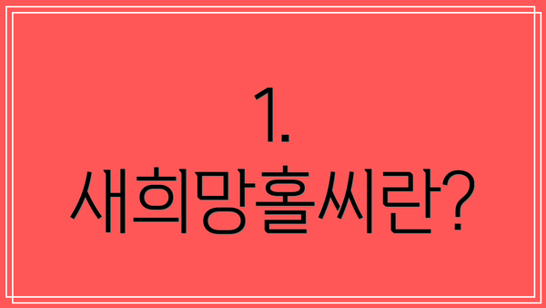1. 새희망홀씨란?
