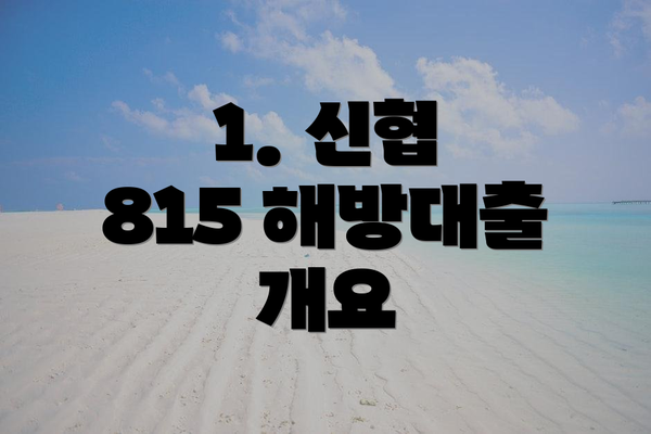 1. 신협 815 해방대출 개요