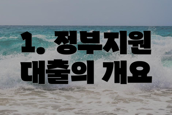 1. 정부지원 대출의 개요