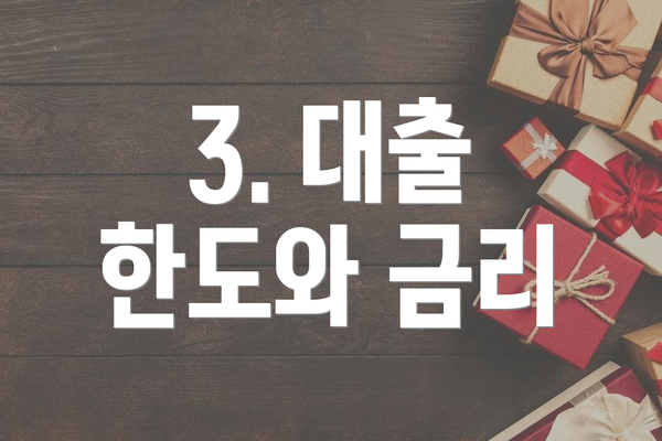 3. 대출 한도와 금리