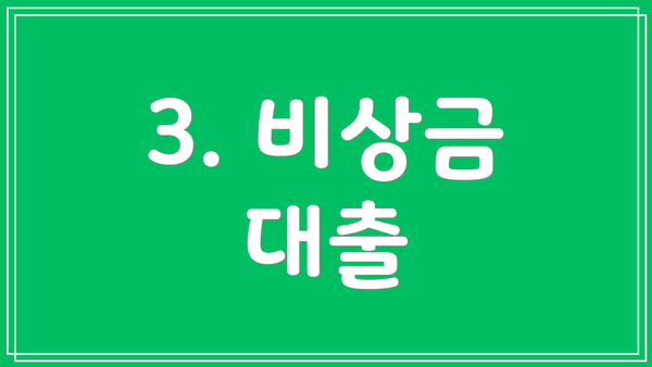3. 비상금 대출