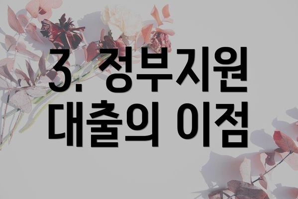 3. 정부지원 대출의 이점