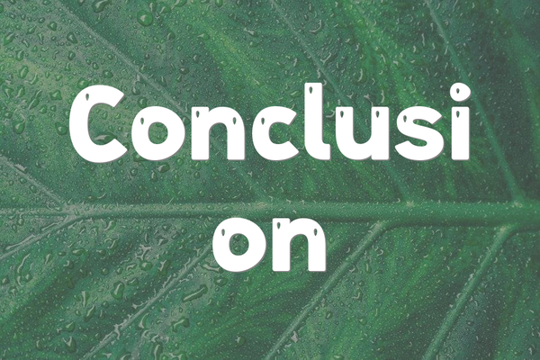 Conclusion