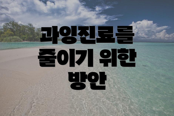 과잉진료를 줄이기 위한 방안
