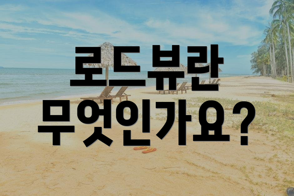로드뷰란 무엇인가요?