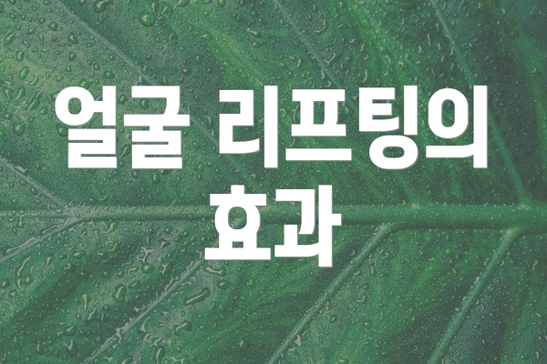 얼굴 리프팅의 효과