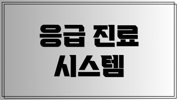 응급 진료 시스템