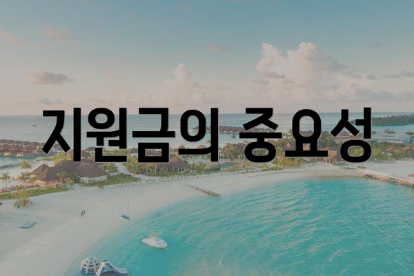 지원금의 중요성